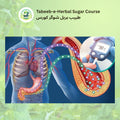 Tabeeb-e-Herbal Sugar Course image 0