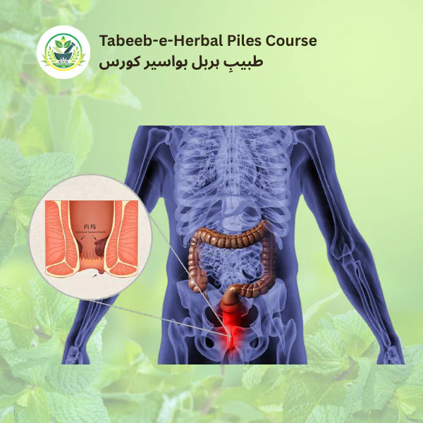 Tabeeb-e-Herbal Piles Course image 0