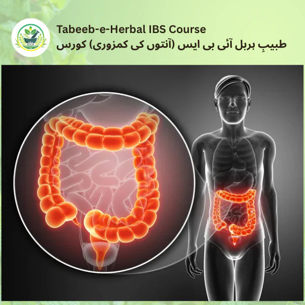 Tabeeb-e-Herbal IBS Course image 0