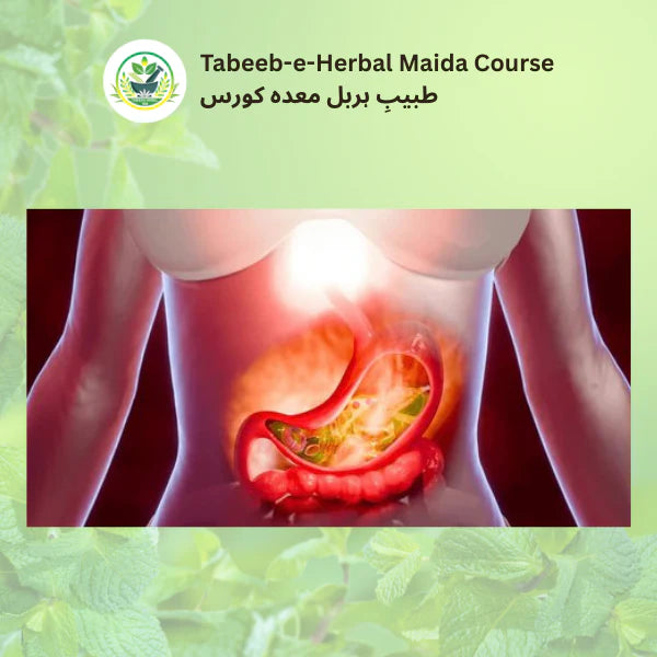 Tabeeb-e-Herbal Maida Course image 0